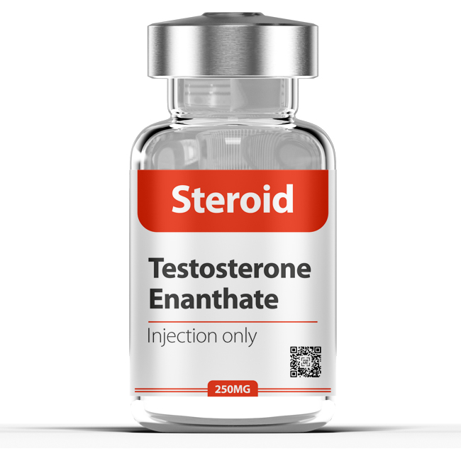Testosterone Enanthate250mg10 Ampoules Pack